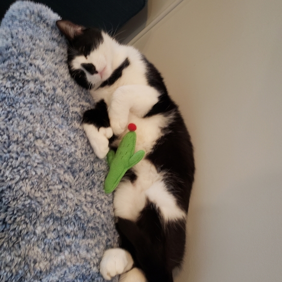 Meet your Posher, Angela - Picture 6 of 6